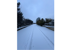 СЭРЭМЖЛҮҮЛЭГ