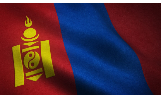 МОНГОЛ УЛС АНХДУГААР ҮНДСЭН ХУУЛИА БАТАЛЖ, БҮГД НАЙРАМДАХ УЛСАА ТУНХАГЛАСНЫ 101 ЖИЛИЙН ОЙН ХҮНДЭТГЭЛИЙН АРГА ХЭМЖЭЭГ ЗОХИОН БАЙГУУЛАВ