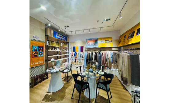 ҮНДЭСНИЙ БАРАА, БҮТЭЭГДЭХҮҮН СУРТАЛЧЛАХ ОЛОН УЛСЫН АРГА ХЭМЖЭЭ ЗОХИОН БАЙГУУЛЛАА