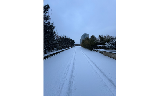 СЭРЭМЖЛҮҮЛЭГ