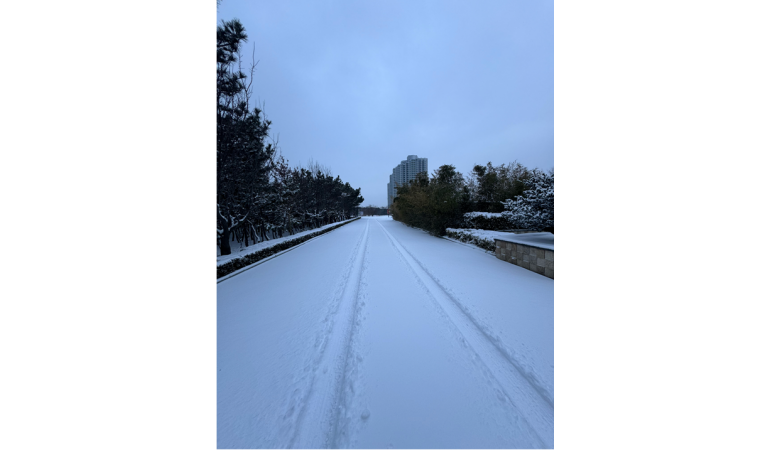 СЭРЭМЖЛҮҮЛЭГ